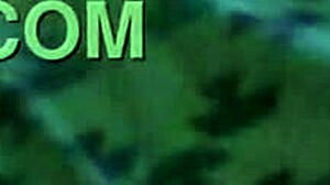 Anal casero a la perra le gusta