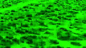 wasteland ultra black friday trailer - dp presents