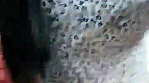 Tania And Leo Enjoy Rich Sex Together