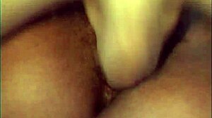 fly bitches vol 3 scene 13 - xvideos com