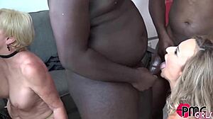 seka black and kenzi foxx dive into wild bbc action