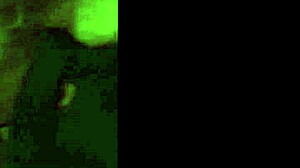 Young girl gets taken in a casual gangbang with her couple, ending in cumshots.