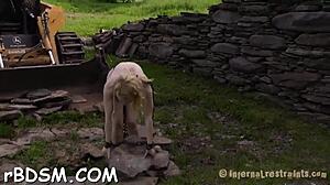 succulent blonde goddess, wanna suck this toy with me?