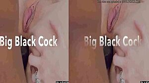 3d cuckold sissy hypno maker test