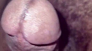 pau crescendo e ficando gigante