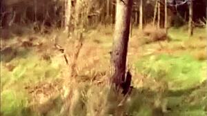 British exhibitionist pissing outdoors. Fingering masturbation with toys