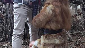 レッドヘアの若い美女たちが森でリスクの高いセックス