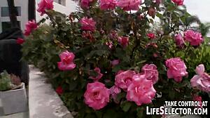 Presidental tasks handled in a very different way