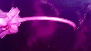 Leashed shemale slut, suck my cock deep in the garage and make me cum balls deep!