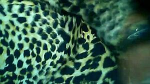 mature ebony milf gives sloppy blowjob to big black cock