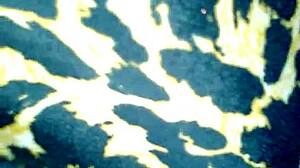 mature ebony milf gives sloppy blowjob to big black cock