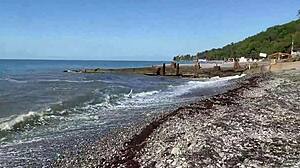 step sister gets ass fucked and ends up with cum on face and glasses after oral