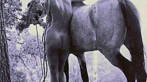 dark lantern entertainment brings beauty and the beast in vintage style with hairy charm and retro vibes. don't miss this classic cock-filled tale from a bygone era!