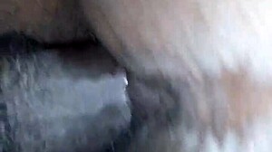 Ms gripper is taking this big dick