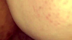 Tango Spruce Takes Big Black Cock Bareback In Wet Pussy