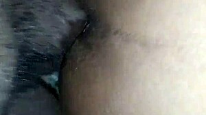 Ms gripper is taking this big dick