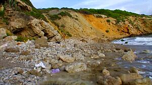 Knulla mig hårt vid havsstranden