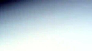 Butterfly Spreading Its Wings In Nature