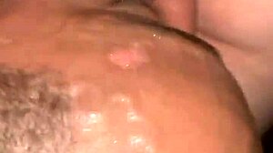 Tango Spruce Takes Big Black Cock Bareback In Wet Pussy