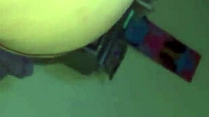 Tango Spruce Takes Big Black Cock Bareback In Wet Pussy