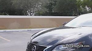 Chocolate Beauties Eating Dark Pussy In Black Valley Girls