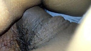 Trimmed Video Of Assfucking And Anal Action
