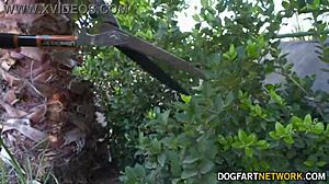 paige owens handles jax slayher's monster cock anal