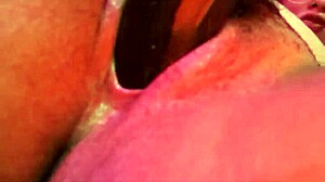 i have a new toy, let's explore colombian bodies with licking and toys on webcam