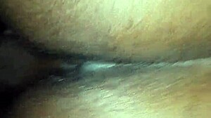 I fucked yara doggystyle and she cummed hard.