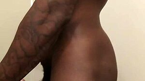 Asyalı şişman güzelden büyük siyah dev sik emme!