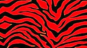 Petite Ebony Nympho Wants Sugar