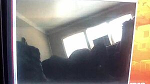 Young Girl Rides Cock on Hairy Sofa