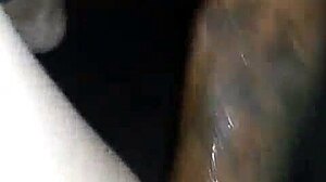 deepthroat squirt doggy style dildo compilation