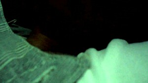 Ebony girl sucks cock and licks ass