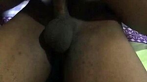 Ehi Daisy Chikadee, cavalca quel cazzo africano ora!