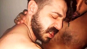 Kinky neighbor chaser visits and ends in raw bareback anal orgy outdoors with amateurs.