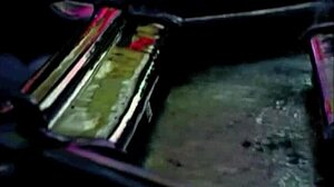 Belles-sœurs vintage partagent une rencontre poilue interdite en secret