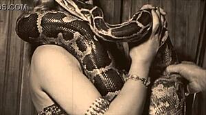 Apa rahsia dalam pertemuan luar berbulu vintaj?