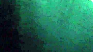 cd meena shows off her big ass and dick in lingerie