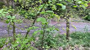 blowjob in the forest from her pov, contrasting the wild nature with amateur passion