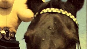 Vintage Babes Chilling with Their Cute Pets