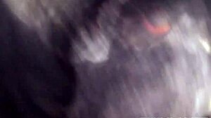 Jade Jantzen's Lusty Vagina Invites Hardcore Blowjob and Cock