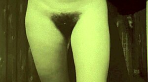 Dark lantern entertainment presents two centuries of vintage porn with mature blowjob hairy fucking 😏