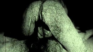 Presento los diarios del siglo XIX de un caballero inglés.