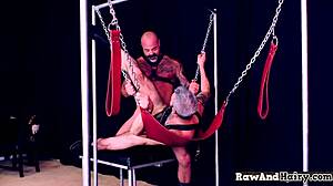 polar bear explores tight gay ass