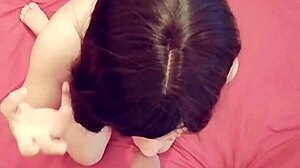 مريم، فتاة مصرية 18+، تتحدث قذراً وهي تمتص جار قبل ضرب كلبي. زوجين عربيين مجنونين!