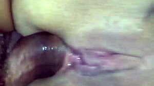 Watch me destroy my submissive's greedy ass in hardcore anal fucking?