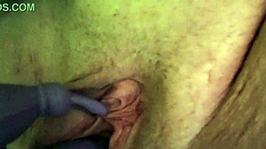 Playing With Shaved Pussy Until Climax.