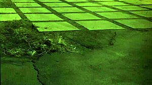 hard vibrator bondage unless youre from the sixties and delve that