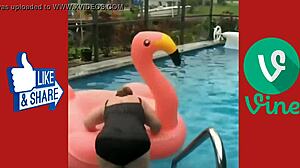 best fucking video ever pussy fucking